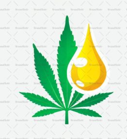 Cannabis Öl